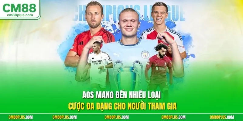 Aos mang đến nhiều loại cược đa dạng cho người tham gia