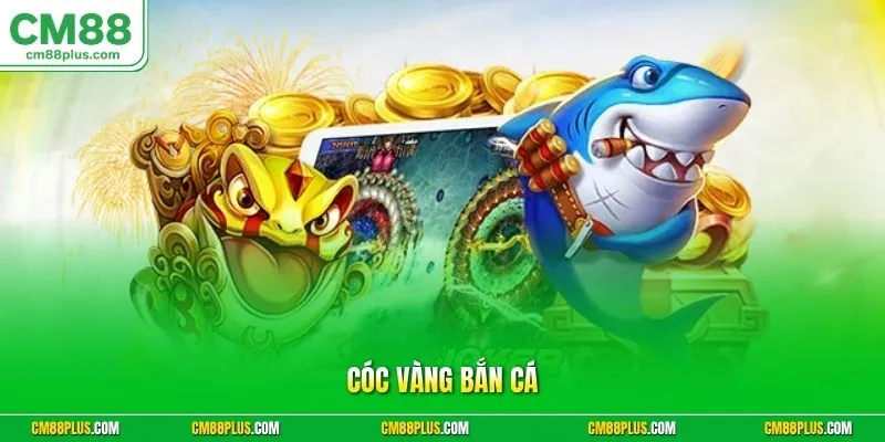 Cóc vàng bắn cá